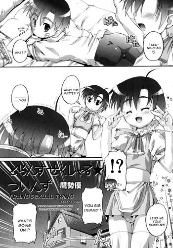Transsexual Twins [Eng]