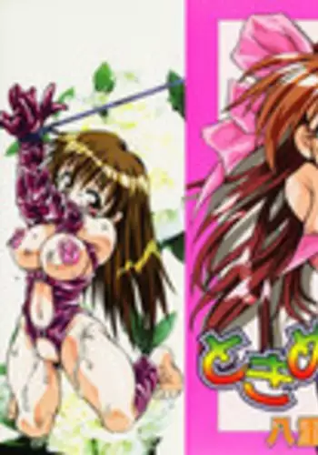 [Yaeda Nagumo] Tokimeki Shoukan | Doki-Doki Girl's House