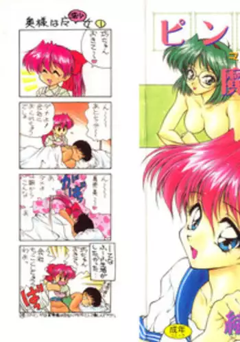 [Oota Minomushi] Pink no Magical