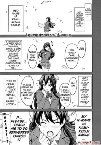 [Takeda Hiromitsu] Zettai! Zettai!! Ojou-sama (COMIC Megastore 2009-09) [English] [Strange Grey Cat] [Decensored]