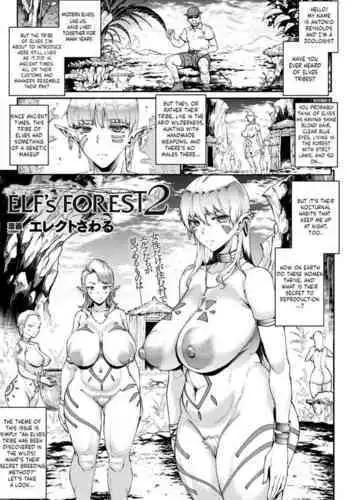 Elf's Forest 2