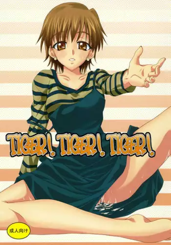 (C70) [Yuzuriha (Aki)] TIGER! TIGER! TIGER! (Fate/stay night)