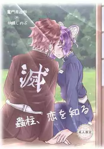 Mushi Hasira, Koi o Shiru