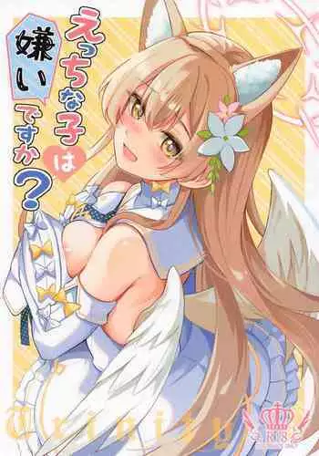 Ecchi na Ko wa Kirai desu ka?