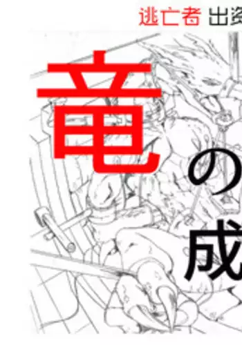 竜族の捕獲に成功