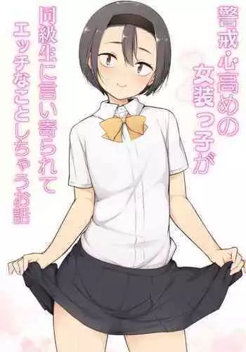 Keikaishi Takame no Josou-kko ga Doukyuusei ni Iiyora Rete Etchinakoto Shi Chau Ohanashi