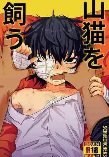 [Schweinchen 31] yamaneko o kau [DLsite]