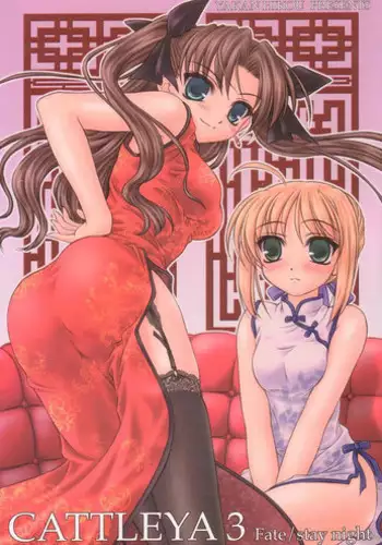 (C67) [Yakan Hikou (Inoue Tommy)] CATTLEYA 3 (Fate/stay night)