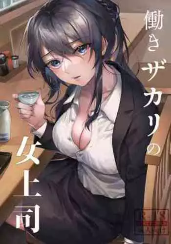 Hataraki Zakari no Onna Joushi