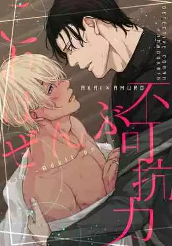 Kore wa zenbu fukakouryoku