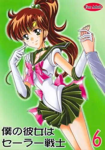 (C75) [Kotori Jimusho (Sakura Bunchou)] Boku no Kanojo wa Sailor Senshi 6 (Sailor Moon)