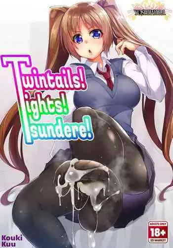 Twintails! Tights! Tsundere!